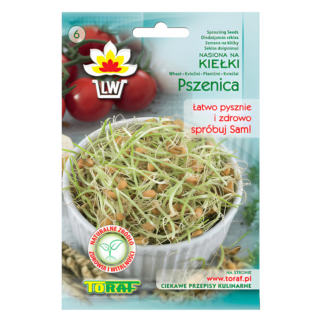 Kiełki - Pszenica 50 g Toraf