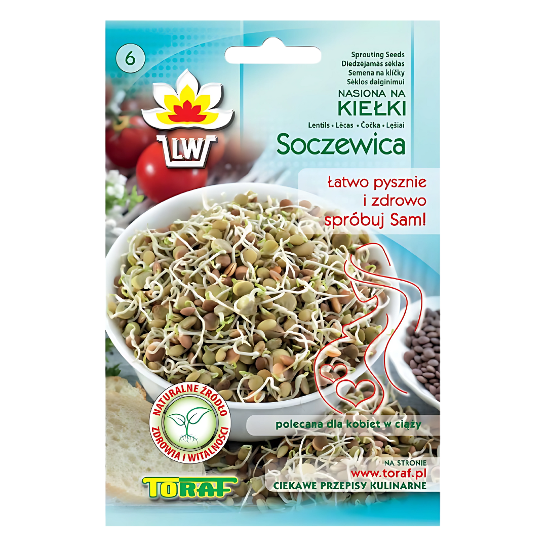 Nasiona na kiełki Soczewica 20 g Toraf