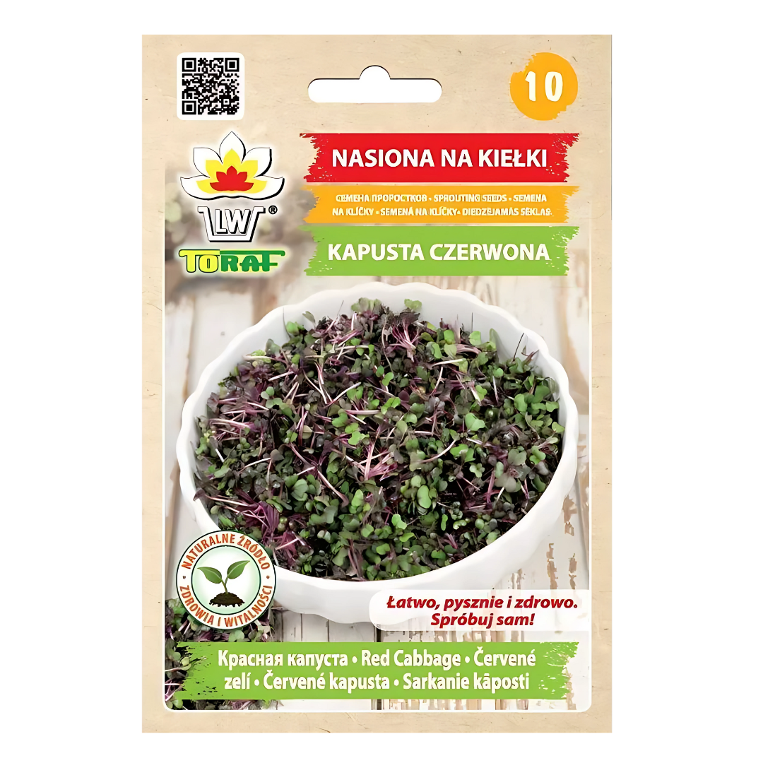 Nasiona na kiełki - Kapusta Czerwona 10 g Toraf