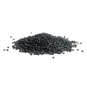 Soczewica czarna Orzeszek 2,5 kg