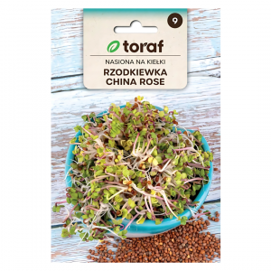 Kiełki - Rzodkiewka China Rose Toraf